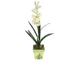 zel Yapay Orkide Beyaz  Ankara Temelli iekiler 