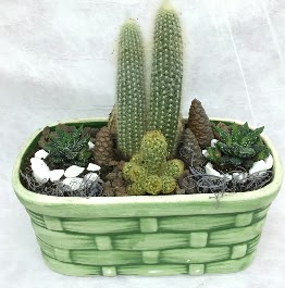 Seramik ierisinde 5 kaktsl terrarium Ankara Temelli online iek gnderme sipari 