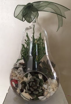 Orta boy armut terrarium 3 kakts Ankara Temelli iek siparii sitesi 