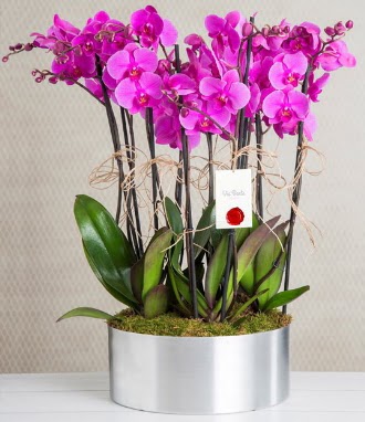 11 dall mor orkide metal vazoda Ankara Temelli online iek gnderme sipari 