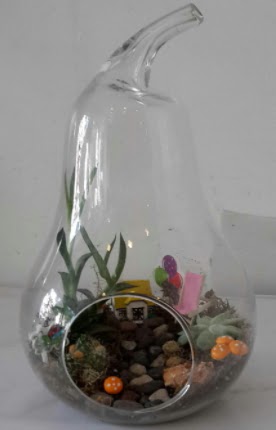 Orta boy cam armut terrarium Ankara Temelli 14 ubat sevgililer gn iek 