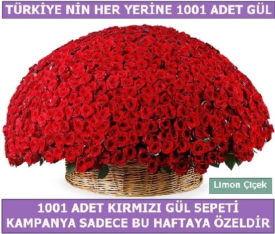 1001 Adet krmz gl Bu haftaya zel Temelli iek siparii vermek 