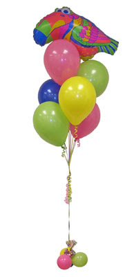 Temelli cicek , cicekci  Sevdiklerinize 17 adet uan balon demeti yollayin.