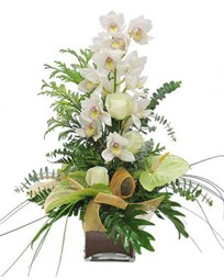 Ankara Temelli hediye iek yolla  cam vazo ierisinde 1 dal orkide iegi