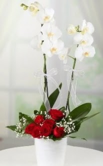 2 dall beyaz orkide 7 adet krmz gl Temelli ankara iek siparii iek gnderme 