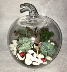 Kk terrarium elma 3 kakts Ankara Temelli hediye iek yolla 