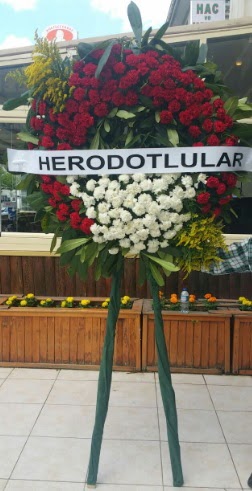 Cenaze elengi cenazeye iek modeli Ankara Temelli 14 ubat sevgililer gn iek 
