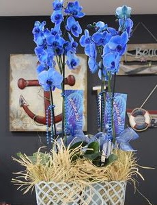 4 dall zel mavi orkide Ankara Temelli iek sat online ieki , iek siparii 