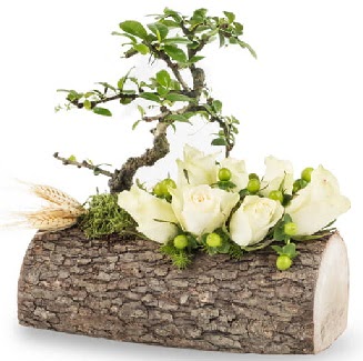 Doal ktkte bonsai aac ve 7 beyaz gl Ankara Temelli online iek gnderme sipari 